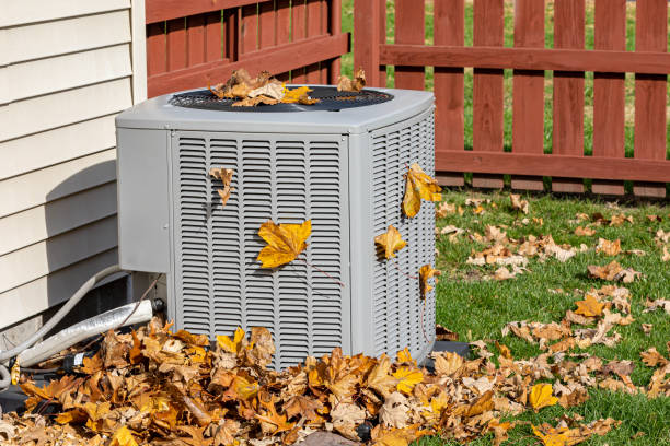 Best Furnace Cleaning in Caseyvle, IL